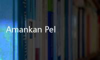Amankan Pelaku Penimbun Bio Solar di Batam, Polisi Bilang Modusnya Tak Lazim
