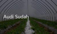Audi Sudah Pakai AI untuk Efesiensi