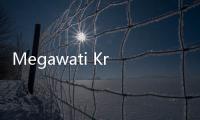 Megawati Kritik Keras Pemerintahan Jokowi: Mau Diapain Pilkada Ini?