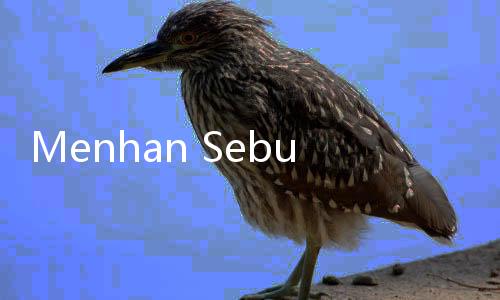 Menhan Sebut Ada 29 Rumah Sakit TNI Belum Terakreditasi