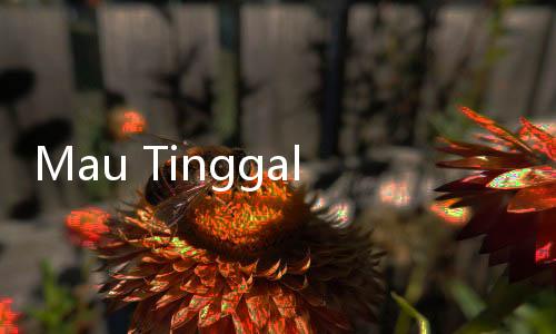 Mau Tinggal di Luar Negeri? Ini Daftar Kota Terfavorit untuk Dihuni