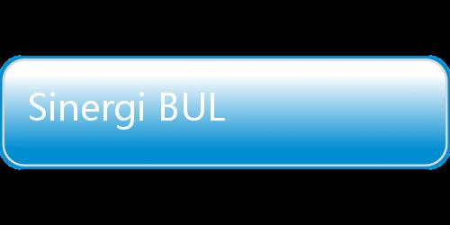 Sinergi BULOG