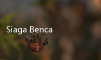 Siaga Bencana Alam, 7 Benda Ini Wajib Ada dalam Tas Survival Kit