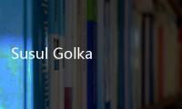 Susul Golkar, PSI Dukung Arfi