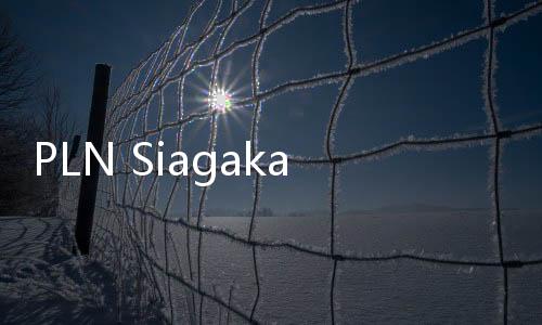 PLN Siagakan 43.493 Personel dan 17.633 Posko Jaga Pasokan Listrik Selama Iduladha 1446 H
