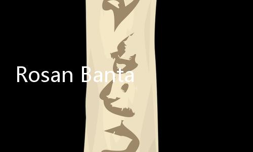 Rosan Bantah Investor Ray Dalio Mundur dari Danantara