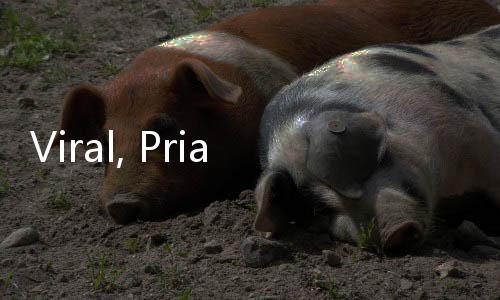 Viral, Pria Panik Nangis Histeris Gara